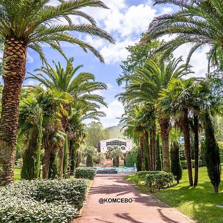 Appartement T2 A Cambo-Les-Bains Avec Piscine, Terrasse Et Parking Prive, Proche Des Thermes - Fr-1-495-82 Экстерьер фото